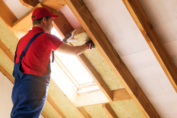 Best Insulation Air Sealing  in Dumas, TX